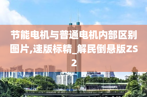 节能电机与普通电机内部区别图片,速版标精_解民倒悬版ZS2