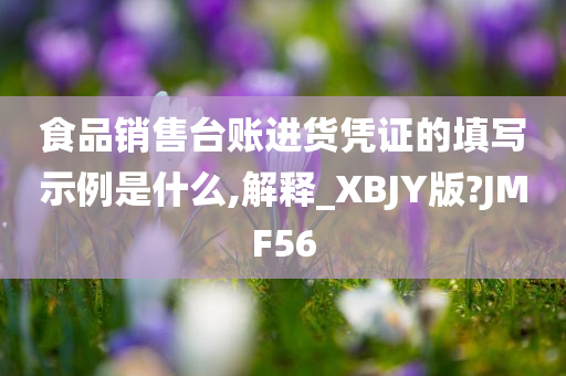 食品销售台账进货凭证的填写示例是什么,解释_XBJY版?JMF56