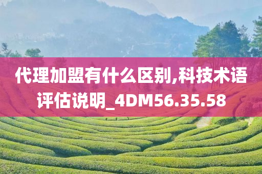 代理加盟有什么区别,科技术语评估说明_4DM56.35.58