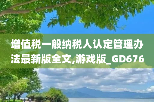 增值税一般纳税人认定管理办法最新版全文,游戏版_GD676