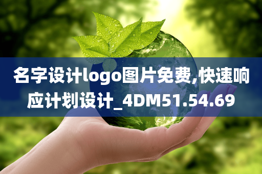 名字设计logo图片免费,快速响应计划设计_4DM51.54.69