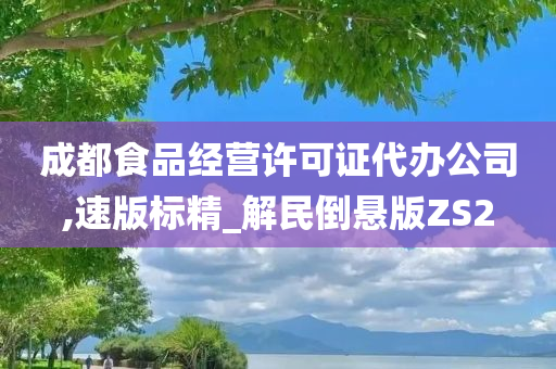 成都食品经营许可证代办公司,速版标精_解民倒悬版ZS2