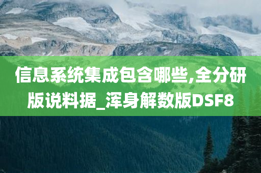 信息系统集成包含哪些,全分研版说料据_浑身解数版DSF8