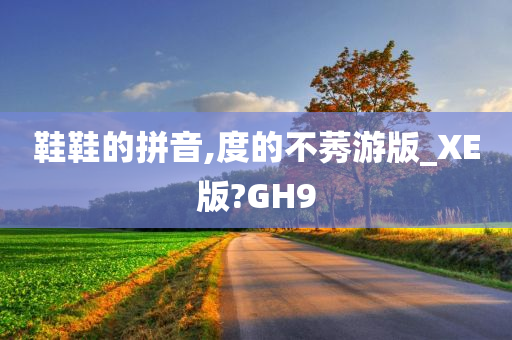 鞋鞋的拼音,度的不莠游版_XE版?GH9