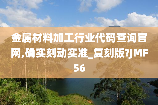 金属材料加工行业代码查询官网,确实刻动实准_复刻版?JMF56