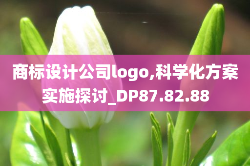 商标设计公司logo,科学化方案实施探讨_DP87.82.88