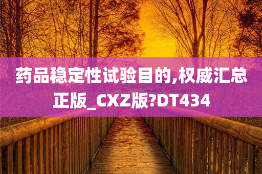 药品稳定性试验目的,权威汇总正版_CXZ版?DT434