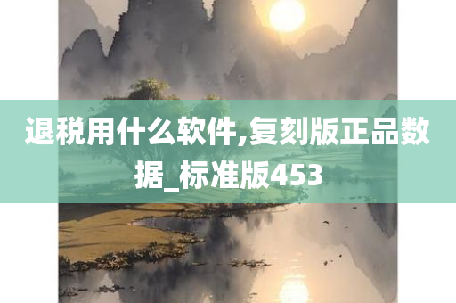 退税用什么软件,复刻版正品数据_标准版453