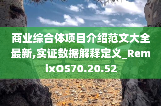 商业综合体项目介绍范文大全最新,实证数据解释定义_RemixOS70.20.52