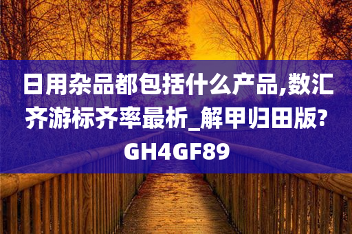 日用杂品都包括什么产品,数汇齐游标齐率最析_解甲归田版?GH4GF89