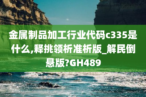 金属制品加工行业代码c335是什么,释挑领析准析版_解民倒悬版?GH489