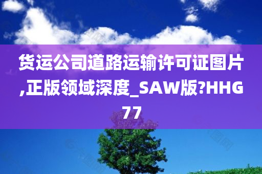 货运公司道路运输许可证图片,正版领域深度_SAW版?HHG77