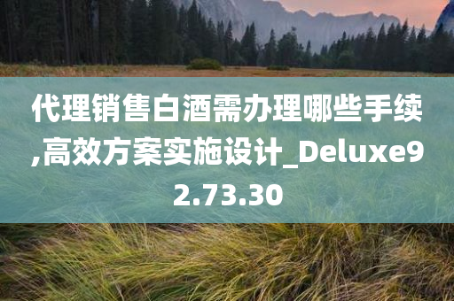 代理销售白酒需办理哪些手续,高效方案实施设计_Deluxe92.73.30