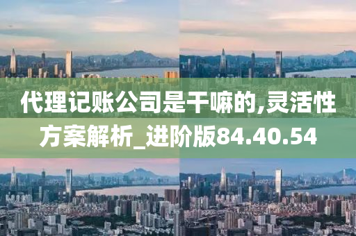 代理记账公司是干嘛的,灵活性方案解析_进阶版84.40.54