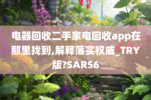 电器回收二手家电回收app在那里找到,解释落实权威_TRY版?SAR56