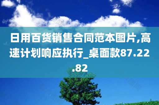 日用百货销售合同范本图片,高速计划响应执行_桌面款87.22.82