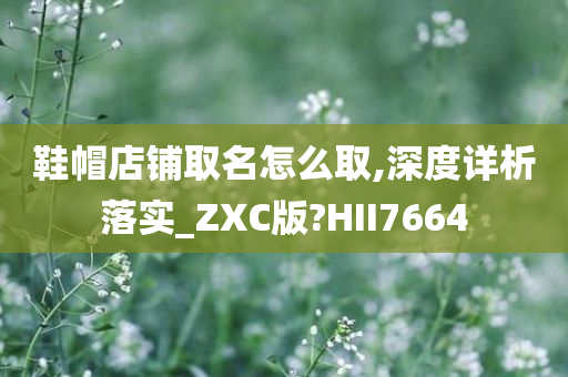 鞋帽店铺取名怎么取,深度详析落实_ZXC版?HII7664