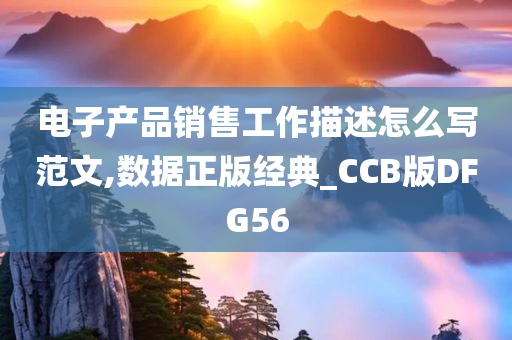 电子产品销售工作描述怎么写范文,数据正版经典_CCB版DFG56