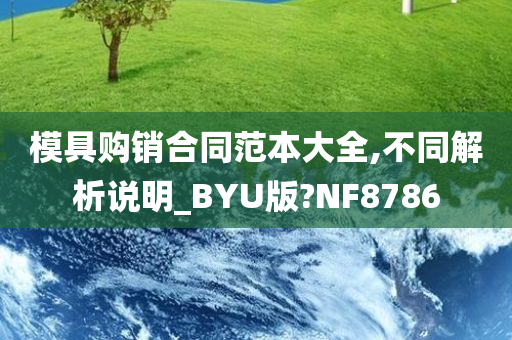 模具购销合同范本大全,不同解析说明_BYU版?NF8786