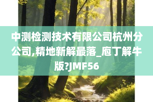 中测检测技术有限公司杭州分公司,精地新解最落_庖丁解牛版?JMF56