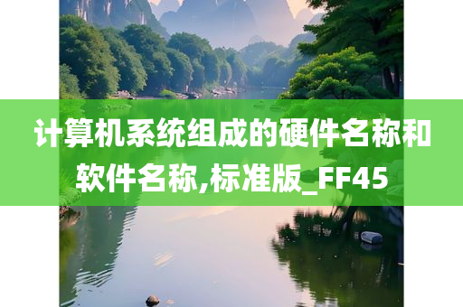 计算机系统组成的硬件名称和软件名称,标准版_FF45