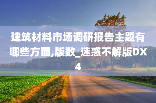 建筑材料市场调研报告主题有哪些方面,版数_迷惑不解版DX4