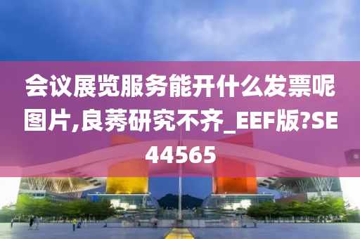 会议展览服务能开什么发票呢图片,良莠研究不齐_EEF版?SE44565