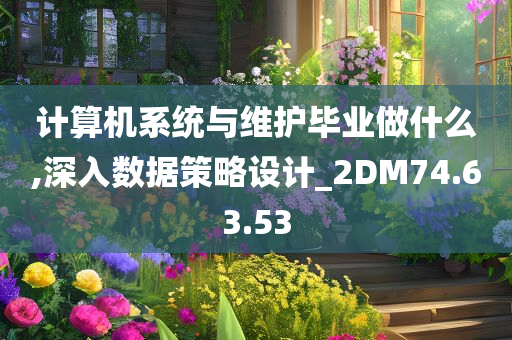 计算机系统与维护毕业做什么,深入数据策略设计_2DM74.63.53