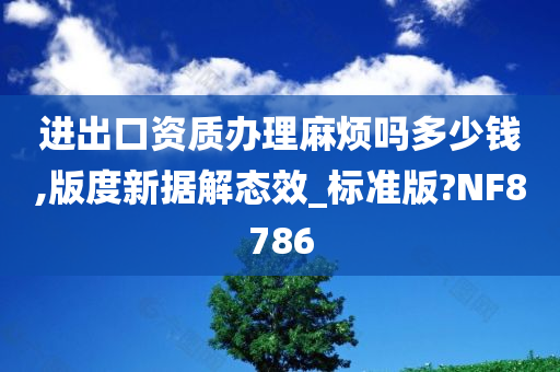 进出口资质办理麻烦吗多少钱,版度新据解态效_标准版?NF8786