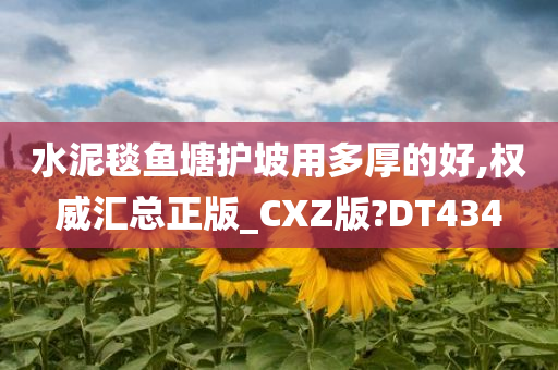 水泥毯鱼塘护坡用多厚的好,权威汇总正版_CXZ版?DT434