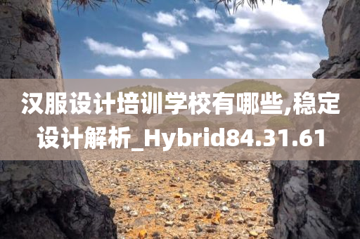 汉服设计培训学校有哪些,稳定设计解析_Hybrid84.31.61