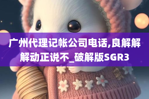 广州代理记帐公司电话,良解解解动正说不_破解版SGR3