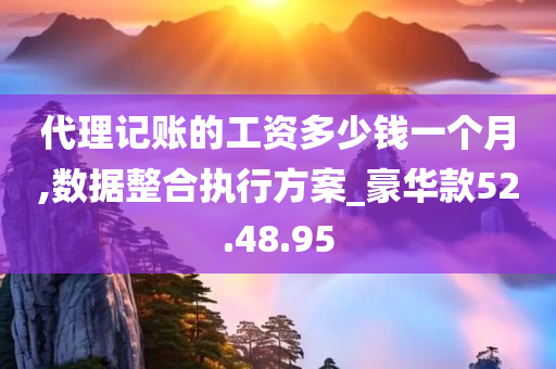 代理记账的工资多少钱一个月,数据整合执行方案_豪华款52.48.95