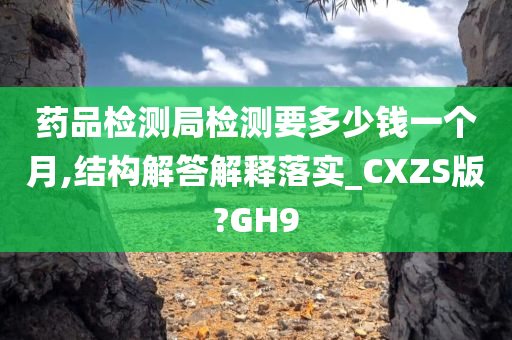 药品检测局检测要多少钱一个月,结构解答解释落实_CXZS版?GH9