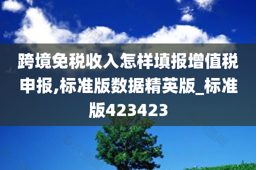 跨境免税收入怎样填报增值税申报,标准版数据精英版_标准版423423