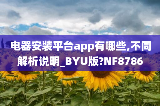 电器安装平台app有哪些,不同解析说明_BYU版?NF8786