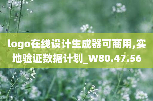 logo在线设计生成器可商用,实地验证数据计划_W80.47.56