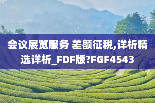 会议展览服务 差额征税,详析精选详析_FDF版?FGF4543