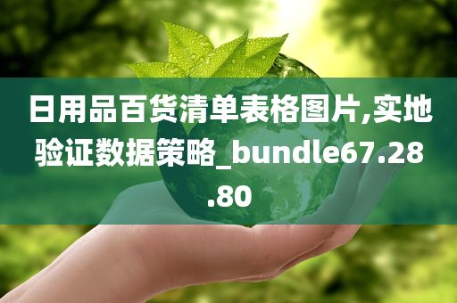 日用品百货清单表格图片,实地验证数据策略_bundle67.28.80