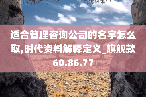 适合管理咨询公司的名字怎么取,时代资料解释定义_旗舰款60.86.77