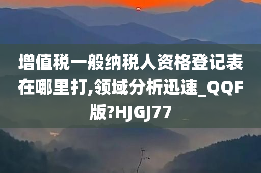 增值税一般纳税人资格登记表在哪里打,领域分析迅速_QQF版?HJGJ77