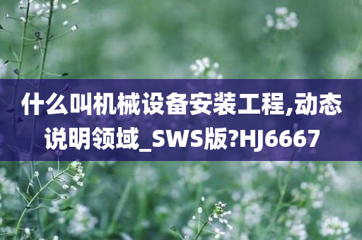 什么叫机械设备安装工程,动态说明领域_SWS版?HJ6667