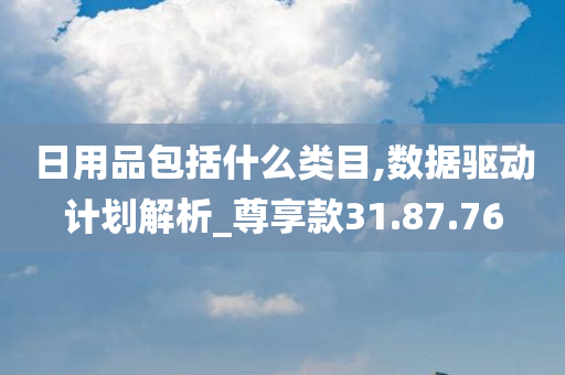 日用品包括什么类目,数据驱动计划解析_尊享款31.87.76