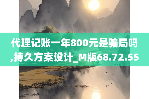 代理记账一年800元是骗局吗,持久方案设计_M版68.72.55