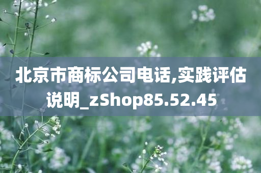 北京市商标公司电话,实践评估说明_zShop85.52.45