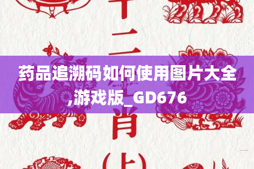 药品追溯码如何使用图片大全,游戏版_GD676