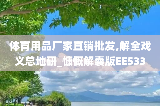 体育用品厂家直销批发,解全戏义总地研_慷慨解囊版EE533