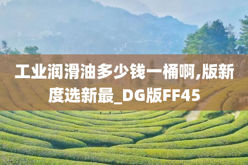 工业润滑油多少钱一桶啊,版新度选新最_DG版FF45