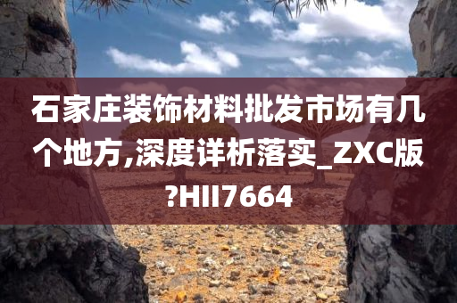 石家庄装饰材料批发市场有几个地方,深度详析落实_ZXC版?HII7664