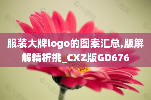 服装大牌logo的图案汇总,版解解精析挑_CXZ版GD676